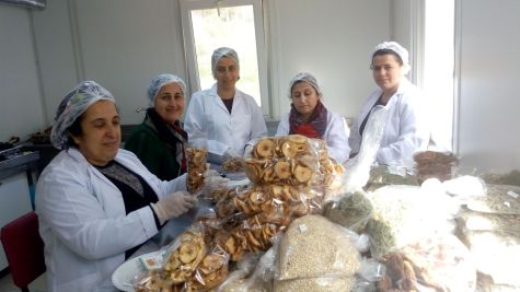 Krize Karşı Kadın Kooperatifi Deneyimleri
